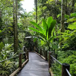 Hawaii Tropical Botanical Garden - Hilo