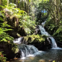 Hawaii Tropical Botanical Garden - Hilo
