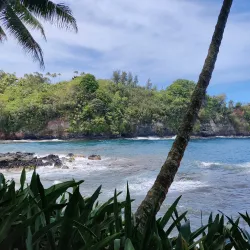 Hawaii Tropical Botanical Garden - Hilo