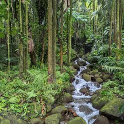 Hawaii Tropical Botanical Garden - Hilo