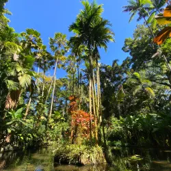 Hawaii Tropical Botanical Garden - Hilo