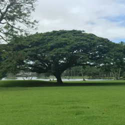 Hilo Bayfront Beach Park - Hilo