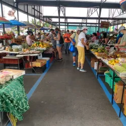 Hilo Farmers Market - Hilo