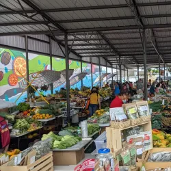 Hilo Farmers Market - Hilo