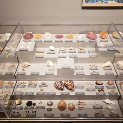 Lyman Museum and Mission House - Hilo