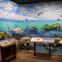 Lyman Museum and Mission House - Hilo