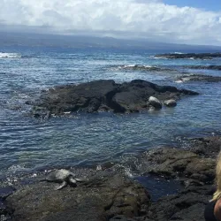 Richardson Ocean Park - Hilo