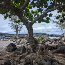 Richardson Ocean Park - Hilo