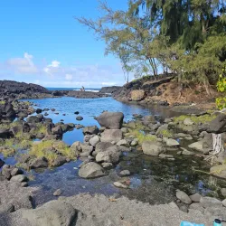 Richardson Ocean Park - Hilo
