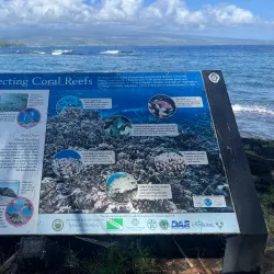 Richardson Ocean Park - Hilo