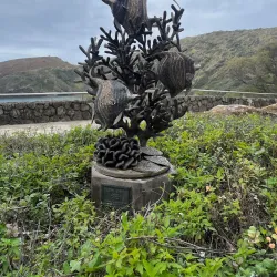 Hanauma Bay Nature Preserve - Honolulu