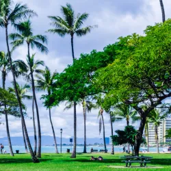 Kapiolani Park - Honolulu