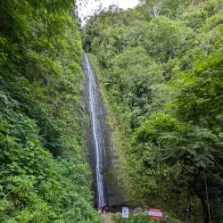 Manoa Falls - Honolulu