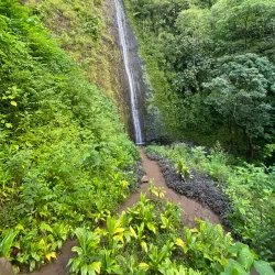 Manoa Falls - Honolulu
