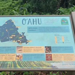 Manoa Falls - Honolulu