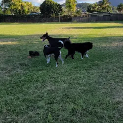 Enchanted Lake Park - Kailua