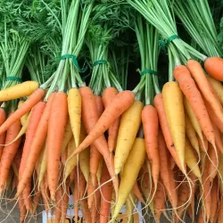 Kailua Farmers Market - Kailua