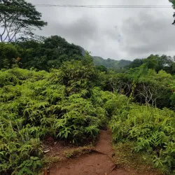 Maunawili Falls Trail - Kailua