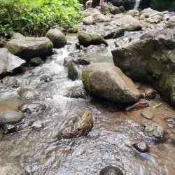Maunawili Falls Trail - Kailua