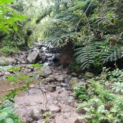 Maunawili Falls Trail - Kailua