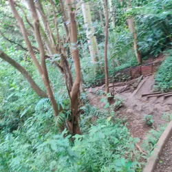 Maunawili Falls Trail - Kailua