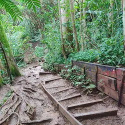 Maunawili Falls Trail - Kailua