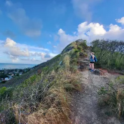 Pillbox Hike (Kaiwa Ridge Trail) - Kailua