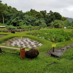 Ulupo Heiau State Historic Site - Kailua