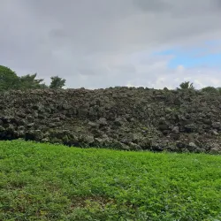 Ulupo Heiau State Historic Site - Kailua