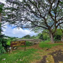 Ulupo Heiau State Historic Site - Kailua