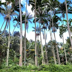 Ho'omaluhia Botanical Garden - Kaneohe