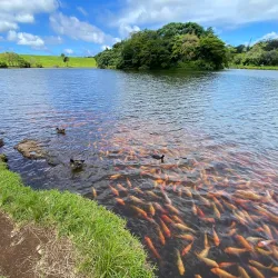 Ho'omaluhia Botanical Garden - Kaneohe