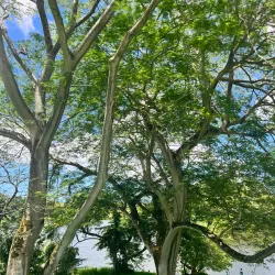 Ho'omaluhia Visitor Center - Kaneohe