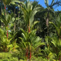 Ho'omaluhia Visitor Center - Kaneohe