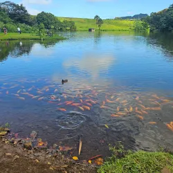 Ho'omaluhia Visitor Center - Kaneohe