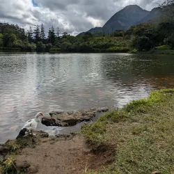 Ho'omaluhia Visitor Center - Kaneohe