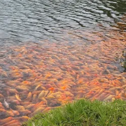 Ho'omaluhia Visitor Center - Kaneohe