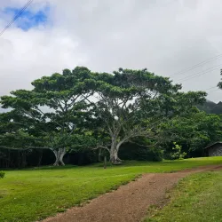 Ho'omaluhia Visitor Center - Kaneohe