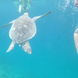 Kaneohe Sandbar - Kaneohe
