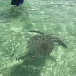Kaneohe Sandbar - Kaneohe
