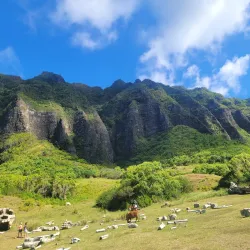 Kualoa Ranch - Kaneohe