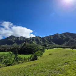 Lulumahu Falls Trail - Kaneohe