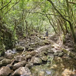 Lulumahu Falls Trail - Kaneohe