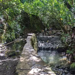 Lulumahu Falls Trail - Kaneohe