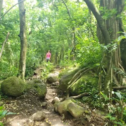 Lulumahu Falls Trail - Kaneohe