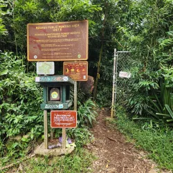 Lulumahu Falls Trail - Kaneohe