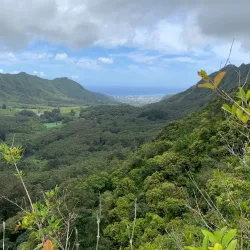 Pali Puka Trail - Kaneohe