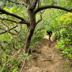 Pali Puka Trail - Kaneohe