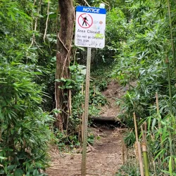 Pali Puka Trail - Kaneohe