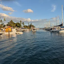 Banyan Tree Park - Lahaina